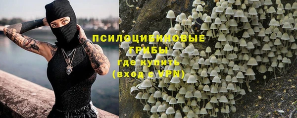 бутират Алексин